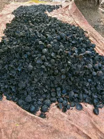 PURE COCONUT SHELL CHARCOAL